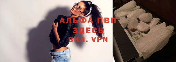 прущая мука Каменногорск